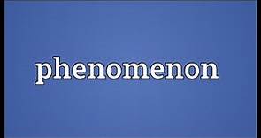 Phenomenon Meaning
