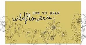 how to draw wildflowers