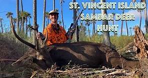 St. Vincent Island - Sambar Deer Hunt 2023