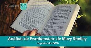 Análisis de FRANKENSTEIN de Mary Shelley: resumen y personajes