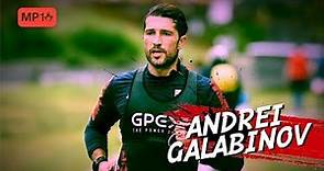 ANDREY GALABINOV ✭ THE ANIMALE ✭ Skills & Goals 2017 ✭