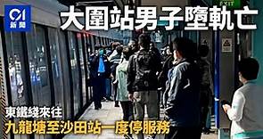 東鐵綫大圍站29歲男子墮軌亡 列車服務一度受阻｜ 01新聞