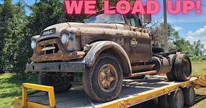 We bought EVERY ANTIQUE TRUCK on this abandoned farmstead! Plus 1954 Ford car & SURPRISE Chevy C10!