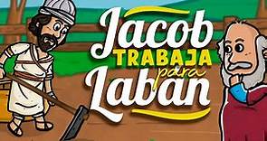 Jacob trabaja para Labán ⛏️🕗 | Historia de la Biblia | Mi Primera Biblia | 13