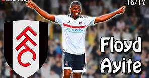 Floyd Ayite - Best Moments 2016/17 Fulham (Goals, Assists, Skills, Key Moments)