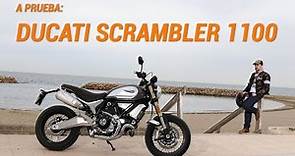 Ducati Scrambler 1100, a prueba en Motorpasión Moto