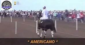 Carreras de Américano el mejor caballo de la Argentina