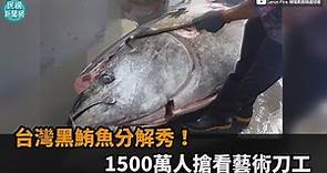 台灣黑鮪魚分解秀！1500萬人搶看藝術刀工－民視新聞