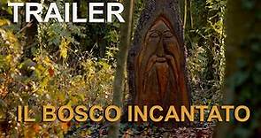 Trailer - Bosco Incantato