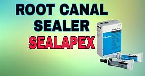 Root Canal Sealer | Sealapex | Endodontic sealer | Dental Maestro | Dr.Jyoti Agarwal