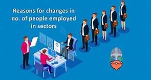 Change in Number of People Employed in Economic Sectors (IGCSE Geography)