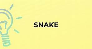 What is the meaning of the word SNAKE?