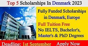 Danish Government Scholarships | Scholarships in Denmark Without IELTS | Universities in Denmark