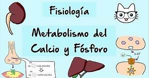 Metabolismo del calcio y fosforo (parte 1)