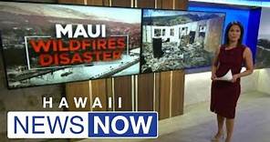 Boiling tensions at a news conference with Maui's Mayor and Major General