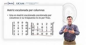 Álgebra Lineal - Matriz escalonada - Jesús Soto