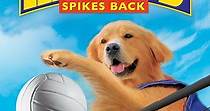 Air Bud: Spikes Back - movie: watch streaming online
