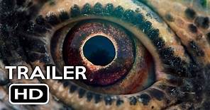 Voyage of Time Official Trailer #2 (2016) Brad Pitt, Cate Blanchett IMAX Documentary Movie HD