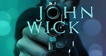 John Wick - film: dove guardare streaming online