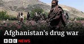 Inside the Taliban's war on drugs - BBC News