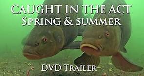 Caught In The Act Parts 1 & 2 - DVD Full Trailer & Intro