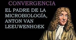 El Padre De La Microbiología, Anton Van Leeuwenhoek - Convergencia