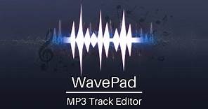 WavePad Audio Editing Tutorial | MP3 Track Editor