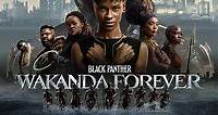 Black Panther: Wakanda Forever (2022) Stream and Watch Online