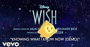Julia Michaels - Knowing What I Know Now (Demo) (From "Wish"/Audio Only)