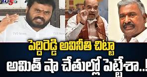 BCY party Chief Ramchandra Yadav Comments On YCP MInister Peddireddy | TV5 News