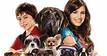 Hotel for Dogs streaming: where to watch online?