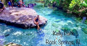 Kelly Park Rock Springs Drone Tour - Apopka, FL
