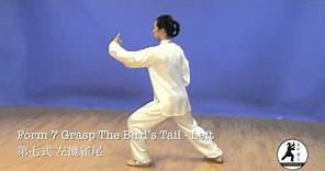 24 Form Tai Chi Demonstration Back View Master Amin Wu 吳阿敏背向示範楊式24式太極拳
