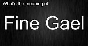 What's the meaning of "Fine Gael", How to pronounce Fine Gael?