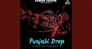 Punjabi Drop