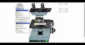 Uso del Microscopio a través de simulador virtual