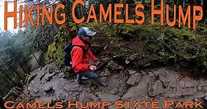 Hiking Camels Hump via the Burrows Trail and Long Trail - Camels Hump State Park