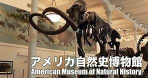 アメリカ自然史博物館｜American Museum of Natural History