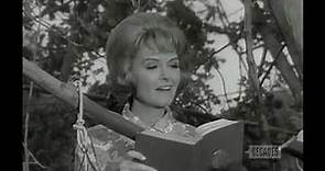 The Donna Reed Show S8E09,Trees