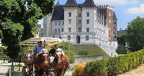 Visite du château de Pau