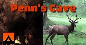 Penn's Cave & Wildlife Park Video Tour - Centre Hall, PA