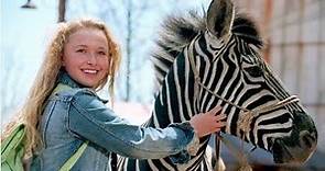 Racing Stripes Full Movie Facts And Review | Bruce Greenwood | Hayden Panettiere