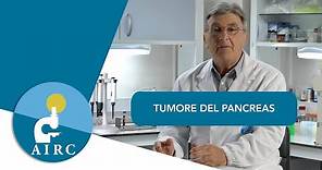 Tumore del pancreas: sintomi, prevenzione, cause, diagnosi | AIRC