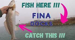 Fina Dock Fishing!!!