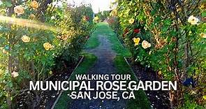 Exploring Municipal Rose Garden in San Jose, California USA Walking Tour #rosegarden #sanjose