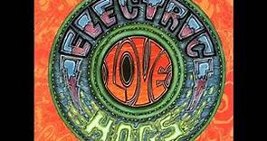 ELECTRIC LOVE HOGS (CD 1992)