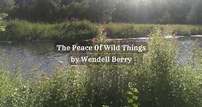 Wendell Berry Reads "The Peace of Wild Things" - Subtitled Version #nature #poetry