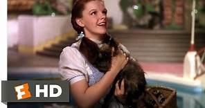 We're Not in Kansas Anymore - The Wizard of Oz (2/8) Movie CLIP (1939) HD