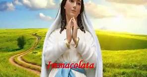 Immacolata Vergine Bella - Realizzazione video: Gabriella Di Carlo