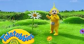 Teletubbies | Laa Laa and Giant Flowers | 2 HOURS | Official Season 16 Compilation